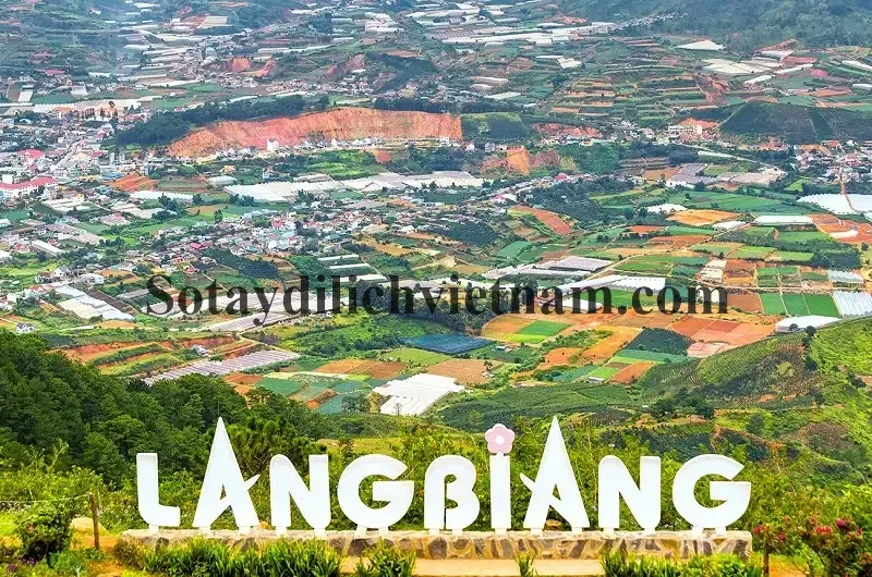 Kinh nghiệm mua tour du lịch Đà Lạt uy tín và gợi ý tour giá rẻ