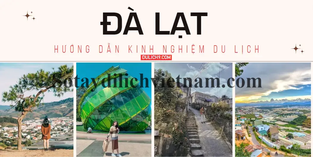 Kinh nghiệm du lịch Đà Lạt lần đầu 12/2024 chi tiết như dân bản địa