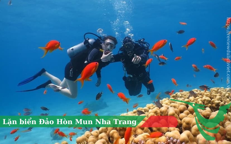 Lặn Biển Đảo Hòn Mun Nha Trang